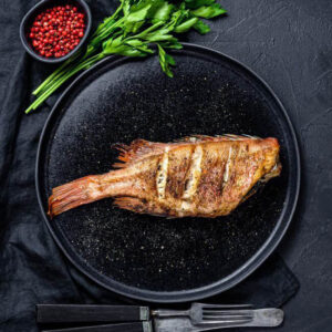 Grouper Fish