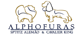 Canil Alphofuras em Alphaville, Santana de Parnaíba